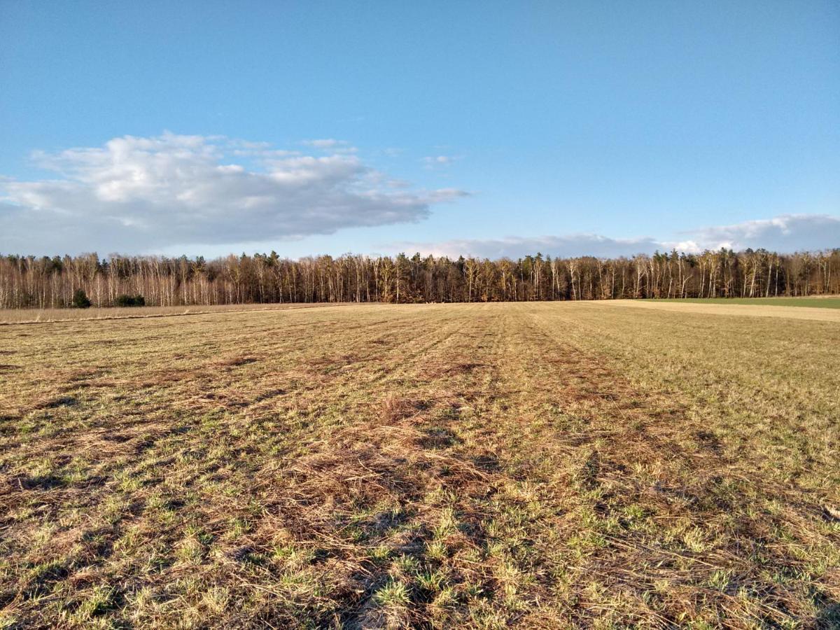 Agroturystyka Pod Czarna Sosna Bialy Lug Экстерьер фото